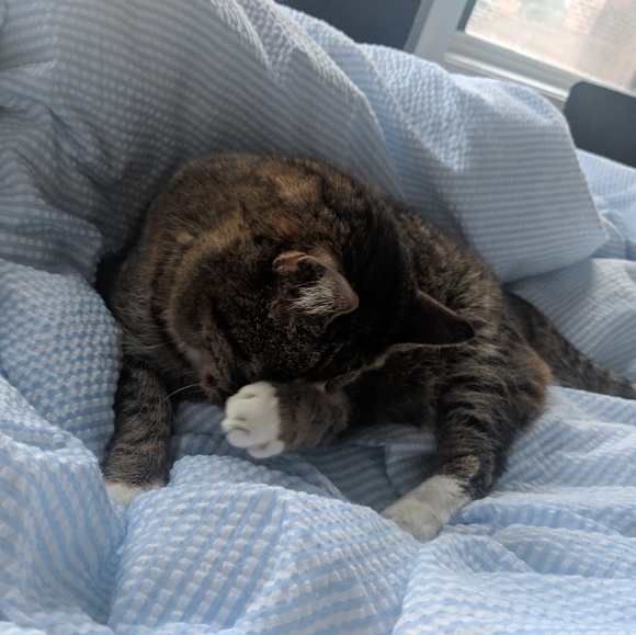 mioz